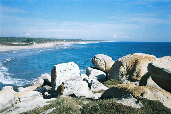 41c.jpg